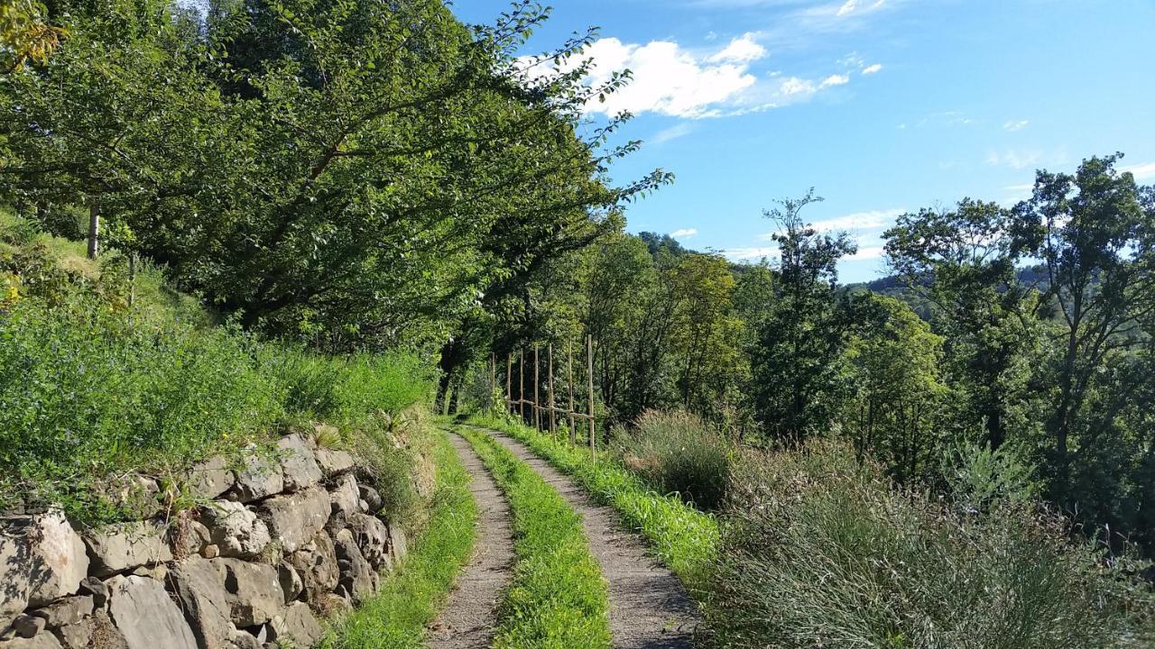 Agriturismo San Genesio Rovagnate Eksteriør bilde